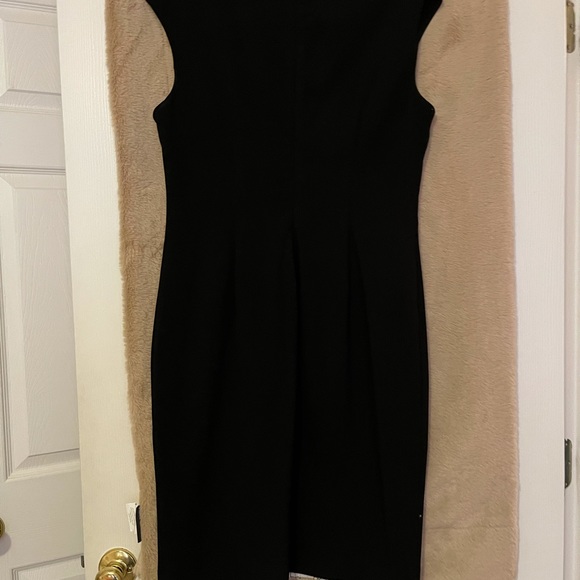 Dresses - Picture 14 of 16